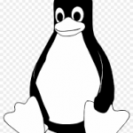 Linux Shell Script